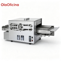 Four à pizza à gaz commercial de 20 pouces HGP-2 en acier inoxydable GPL neuf pour restaurants, hôtels et boulangeries