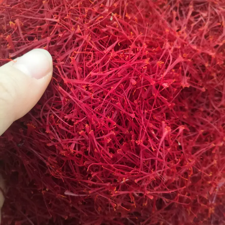 Zang Hong Hua de China, venta al por mayor de hierbas naturales azafrán rojo.