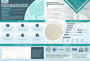 Prémélange de poudre probiotique à haute viabilité Saccharomyces Boulardii HS5 20B CFU/g pour soutenir la santé intestinale des adultes et des enfants - Product Image 2