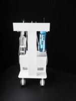 BL 610F Station de Compresseur d'Air pour Unité Dentaire Vétérinaire 550W Sans Huile Silencieuse avec Réservoir 10L, Scaler LED Intégré et Unité de Photopolymérisation