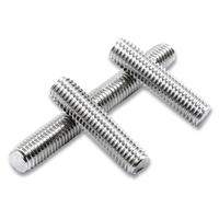 Fasteners Threaded Rod M10 M12 High Precision Stainless Steel Acme Double End Threaded Stud Threaded Rod