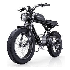Vélo Électrique OEM avec Pneus Larges de 20 Pouces, Modèle Scrambler HL-L7 - Product Image 1