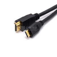 Fiche de maintien à vis vers câble de liaison d'appareil photo numérique Mini Plug pour disque dur mobile