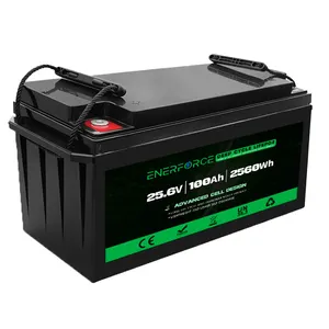 Enerforce OEM 24v 100ah Lithium Iron Phosphate Battery 24V Lifepo4 Lithium Battery Pack for E-scooter