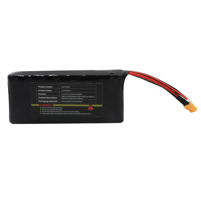 Best Lithium Battery Pack 28.8V 10A Lithium Ion Batteries for Energy Storage Ebike