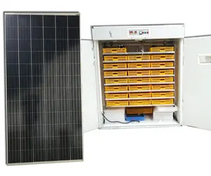 सौर अंडे इनक्यूबेटर चिकन बटेर बतख हंस तुर्की 2000 अंडे सौर ऊर्जा अंडे इनक्यूबेटर हैचर मशीन