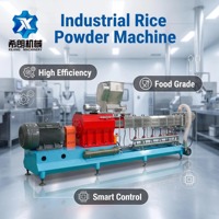 Machine de fabrication de poudre nutritionnelle 300 kg/h entièrement automatique en acier inoxydable pour porridge instantané, amidon de maïs, farine de céréales