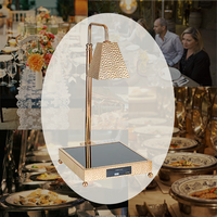YITIAN Hôtel cinq étoiles de luxe 220V lampe chauffante à infrarouge électrique une tête lumière réchauffant et tenant l'équipement