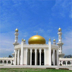 Cấu trúc thép không gian Khung nhà thờ hồi giáo mái vòm mái vòm - Product Image 4