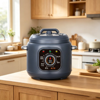 Cuisinière multifonctionnelle électrique certifiée CB, 3 L (3 quarts), commande par bouton, avec protection de sécurité