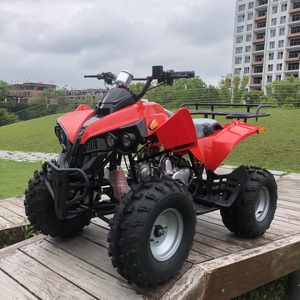 <span class=keywords><strong>Quad</strong></span> chinois 125cc pour adultes, vente flash, avec certification CE - Product Image 3