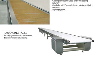 Bande transporteuse de refroidissement <span class=keywords><strong>pour</strong></span> machine à biscuits - Product Image 5