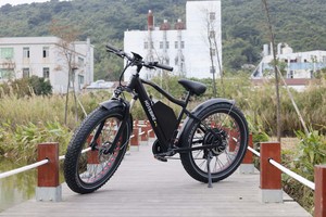 Meilleur <span class=keywords><strong>vélo</strong></span> <span class=keywords><strong>électrique</strong></span> à double moteur en alliage d'aluminium 48V/60V 24Ah, suspension avant, étanche, pneus larges pour montagne, plage et route, 1000W-2000W - Product Image 4