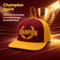 Casquette Snapback à Visière Plate Bicolore pour Sports d'Équipe avec Logo Brodé 3D – Fourniture en Gros pour Grossistes
