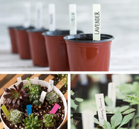 100 Buah Set Label Tanaman Plastik Tahan Air Multi Warna 2X10CM Tiang Penanda Taman untuk Identifikasi Bibit Pot Bunga