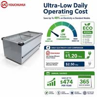 Congélateur coffre horizontal commercial à double porte grande capacité pour la conservation de la viande à usage domestique et en supermarché