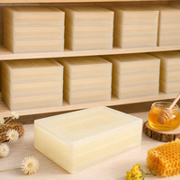 Boîte de stockage de miel de qualité alimentaire pour cadres de ruche, cassette à miel, conteneur, outils d'apiculture