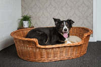 JY Autres articles et accessoires pour animaux de compagnie : Lits pour animaux de compagnie de luxe, grands, pour chiens et chats, rafraîchissants pour l'été, chauffants à l'eau, imperméables, pour le camping, pour Noël, Dropship