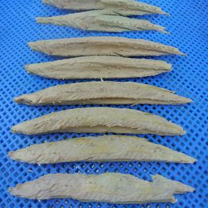 Lomos <span class=keywords><strong>de</strong></span> Atún Skipjack Precocidos <span class=keywords><strong>de</strong></span> 7.5 kg, Mariscos, Atún Tongol, Estilo Enlatado con Conservación <span class=keywords><strong>en</strong></span> <span class=keywords><strong>Aceite</strong></span>, Parte del Cuerpo - Product Image 2