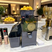 Industriële sapcentrifuge met hoge capaciteit |   80% Opbrengst Sinaasappelsap Extractor |   Snelle citruspers NS2000E-6