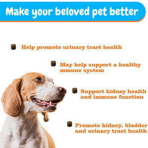 Venta al por mayor de botellas Omega 3 Eye Health Pet, suplemento de visión para perros diabéticos, proveedor OEM para suplemento para mascotas - Product Image 5