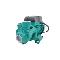Pompa Pendorong Kecil Qb60, Pompa Air Sumur Vortex Suara Rendah, Pengangkat Tinggi 220V Rumah Tangga