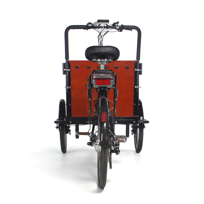 カーゴバイク三輪電動自転車6スピードファミリー自転車助手席三輪車