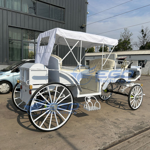 Chariot électrique tout-terrain à quatre roues en acier, modèle 2025, neuf et de haute qualité, idéal pour les princesses ou les familles royales, à prix abordable - Product Image 5
