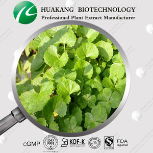 Gotu Kola ekstresi Centella Asiatica özü <span class=keywords><strong>Asiaticoside</strong></span> kaynağı 10% 20% <span class=keywords><strong>40%</strong></span> 80% toplam <span class=keywords><strong>Asiaticoside</strong></span> - Product Image 2