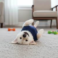 Vêtements en tricot pour animaux de compagnie à thème en gros, chandail pour chien et chat, Halloween, design de citrouille festif, 3D EMB, vêtements décontractés confortables pour les journées d'automne