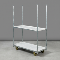 Chariot de transport de plantes en acier galvanisé à chaud, type Danemark, avec étagères en contreplaqué, pour pépinière et serre, modèle Dutch CC Container