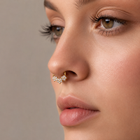 ASTM F136 Titan Sterncluster CZ Septum Clicker Klappbarer Segment-Nasenring Zirkon Hoop für Daith Fashion Piercing Schmuck