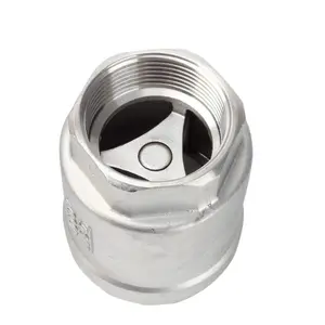 Water Pipe 1 Way Check 304 316L Stainless Steel BSP NPT Threaded Vertical Check Valve