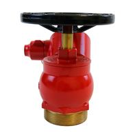 Robinet d'arrêt oblique d'entrée de 2,5'' pour hydrant incendie, équipement de protection incendie, accessoire de lutte contre l'incendie