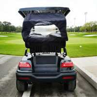 Voiturette de golf électrique 2 places et buggy d'aéroport miniatures d'usine OEM avec batterie au lithium 60V certifiée CE, autonomie de 90 km, puissance élevée, type ATV