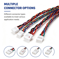 Harnais de câblage personnalisé OEM ODM, options de connecteurs multiples, gaine tressée de protection pour les appareils électroniques
