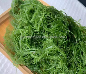Fournisseur d'usine Naturel Organique Congelé Salé Gracilaria Mousse de Mer Algues Eucheuma Cottonii Qualité d'exportation Approvisionnement Commercial 15KG - Product Image 3