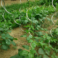 Support de croissance en spirale pour tomates en acier galvanisé de 1,5 mm et 2 mm, prix d'usine, personnalisé