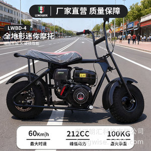 Mini moto tout-terrain Longwise 212Cc, pneus de 8 pouces, transmission automatique, utilisation tout-terrain - Product Image 4