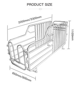 Nouveau enclos pour truies gestantes et d'insémination, avec tubes en acier et conception en forme de H - Product Image 4