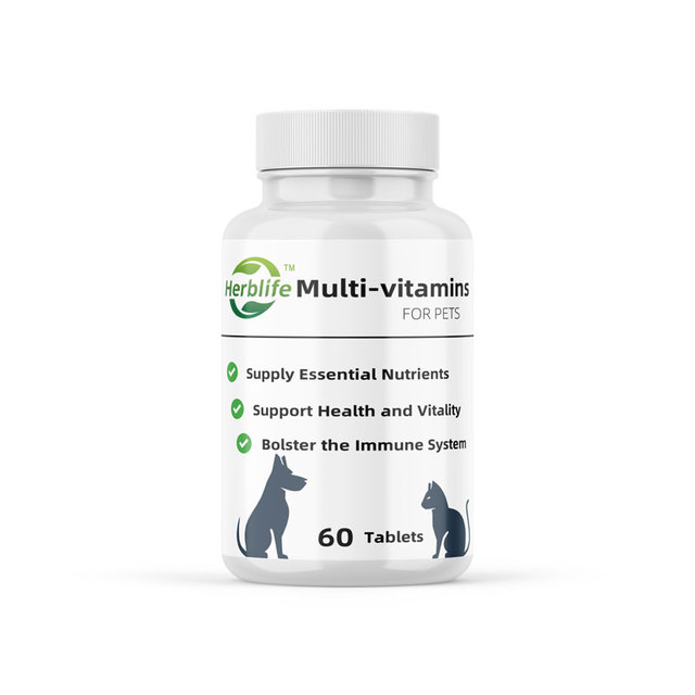 OEM/ODM Custom Healthcare Supplement Hot Selling Universal Pet Vitamin Tablets for Dogs and Cats Sports Nutrition Product