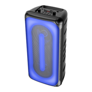 Haut-parleur portable sans fil puissant double 5 pouces pour karaoké, boîte à musique RVB, idéal pour la famille, l'extérieur, le home cinéma et les soirées - Product Image 2