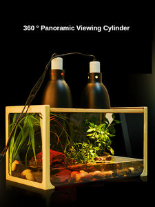 Barbare BG Croissance DJ 01-03 Bois grain boîte de verre pour gecko à cornes grenouille araignée amphibie, serpent <span class=keywords><strong>terrarium</strong></span>, boîte d'alimentation, verre cy - Product Image 2