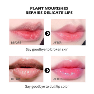 Vente en gros de rouge à lèvres blam rouge à lèvres de haute qualité température <span class=keywords><strong>flortte</strong></span> cristal gelée fleur changement de couleur rouge à lèvres - Product Image 3