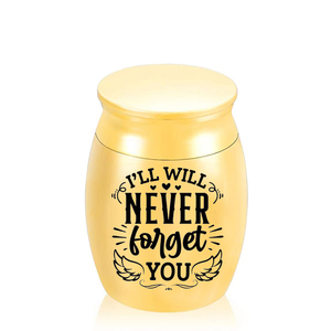 Engelenvleugels Gedenkteken Jar Urnen Voor Huisdier Menselijk As Houder Mini Begrafenis Begrafenis Urn Aandenken-Ik Zal Nooit vergeet U - Product Image 3