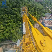 Grue à tour auto-élevante à grande vitesse avec une capacité de 12 tonnes et une hauteur de levage de 60 m pour la construction d'ouvrages d'ingénierie