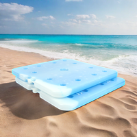 Congélateur à plaque eutectique PCM -22C, grande brique de glace réutilisable pour aliments, matériau HDPE/PE isolé thermiquement pour chariot à glaces