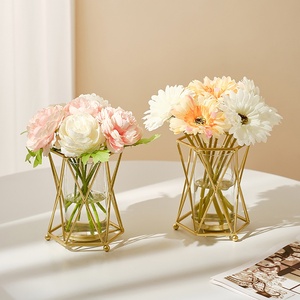 Vaso de Vidro Transparente Destacável com Suporte de Ferro Dourado Geométrico, Estilo Nórdico, Durável, para Decoração de Casa e Casamento - Product Image 1