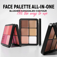 Palette de blush HANDAIYAN en marque propre, 12 couleurs, blush crème, contour, illuminateur, tout-en-un, maquillage visage, vente en gros