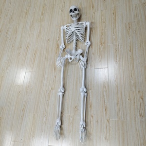 Modelo de Esqueleto Humano Completo Móvil Personalizable de 163 cm, Simulador de Anatomía de PVC para Enseñanza Médica o Decoración de Casa Embrujada de Halloween - Product Image 6